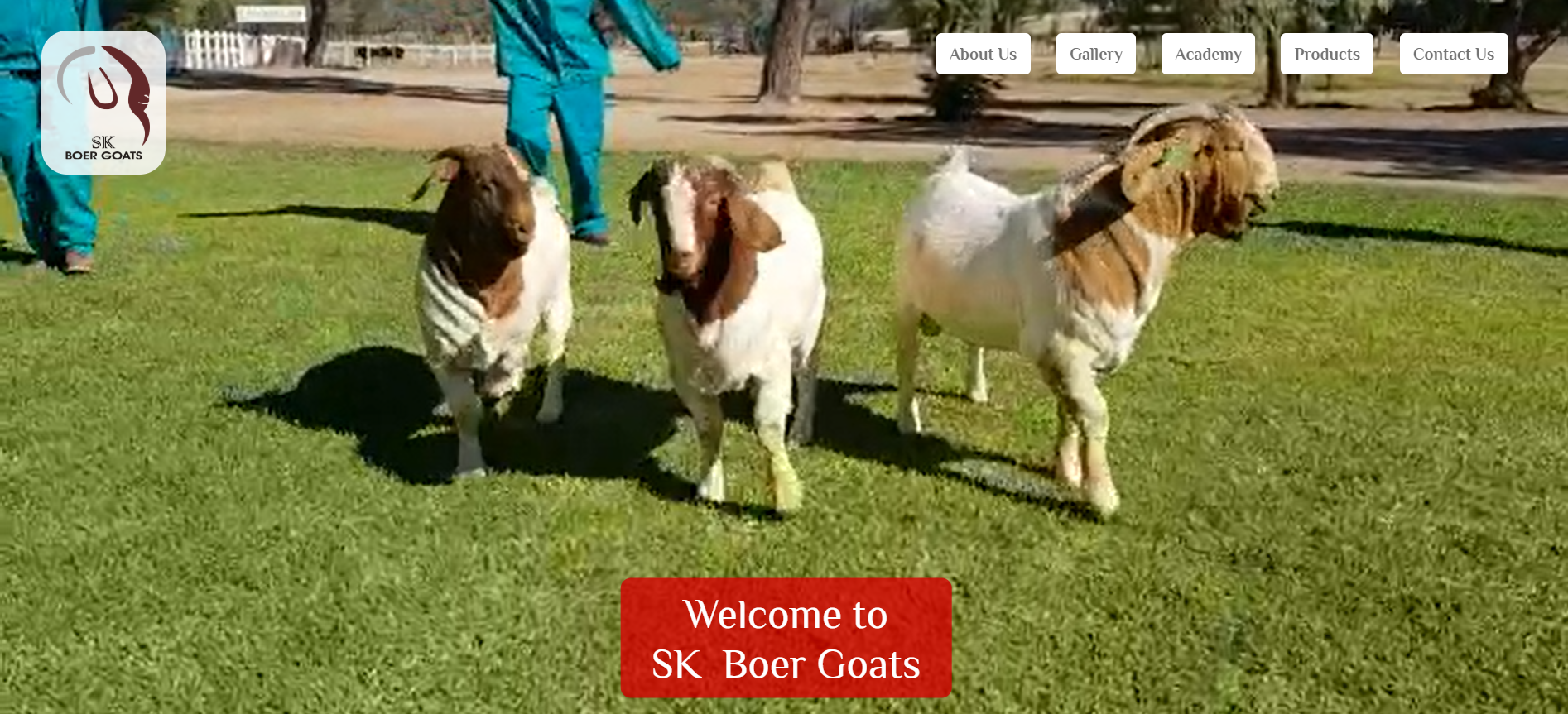 SK Boergoats